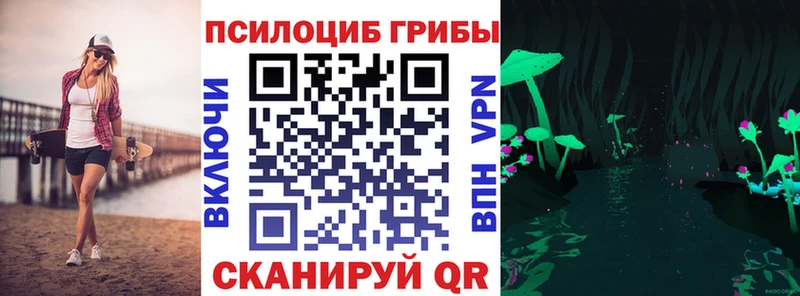 Купить  Котово  Псилоцибиновые грибы Psilocybe 