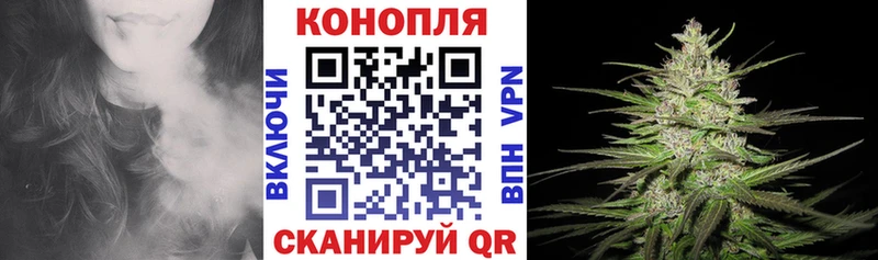 Купить где  Котово  Каннабис SATIVA & INDICA 